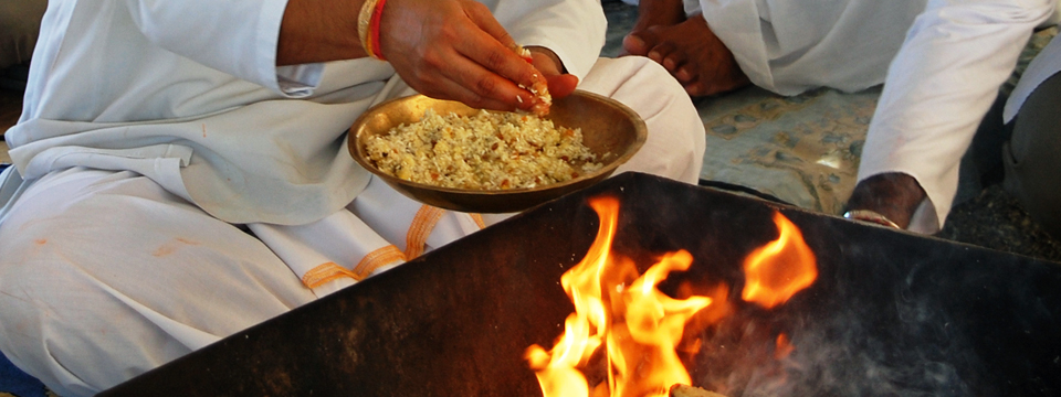 Swaha International is a non-profit Hindu based organisation engaged in the service of humanity.